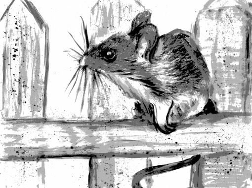 The Scarlet Hourglass - Field Mouse
